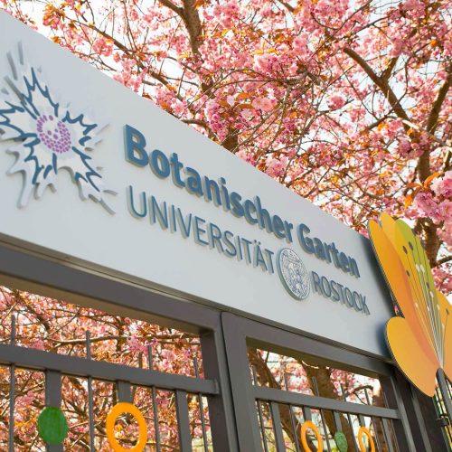aussenwerbung-botanischer-garten