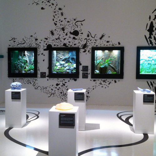 boob_museen-ausstellungen_slider_Beispiel-2