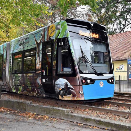 boob_autofolierung_slider_Beispiel-4