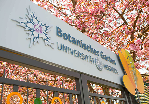 boob_ueber_uns_karriere_vereinbarkeit_kachel_500x350